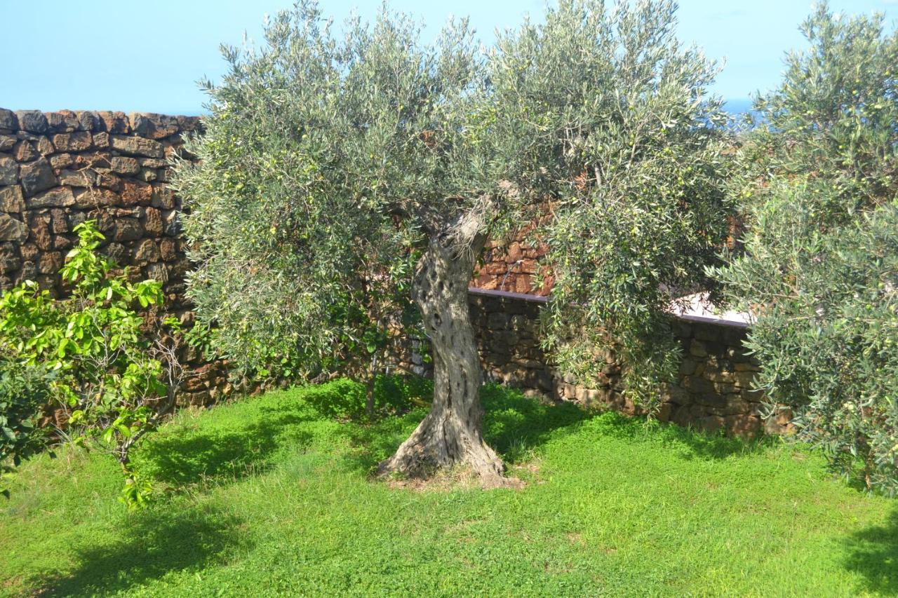 Agriturismo Zinedi Villa Pantelleria Kültér fotó